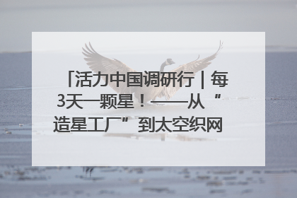 活力中国调研行｜每3天一颗星！——从“造星工厂”到太空织网的“银河速度”