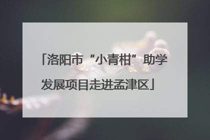洛阳市“小青柑”助学发展项目走进孟津区