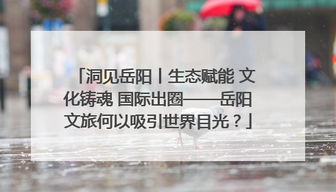 洞见岳阳丨生态赋能 文化铸魂 国际出圈——岳阳文旅何以吸引世界目光？