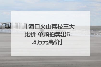 海口火山荔枝王大比拼 单颗拍卖出6.8万元高价