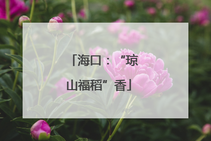 海口：“琼山福稻”香