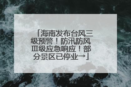 海南发布台风三级预警！防汛防风Ⅲ级应急响应！部分景区已停业→