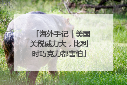 海外手记｜美国关税威力大，比利时巧克力都害怕