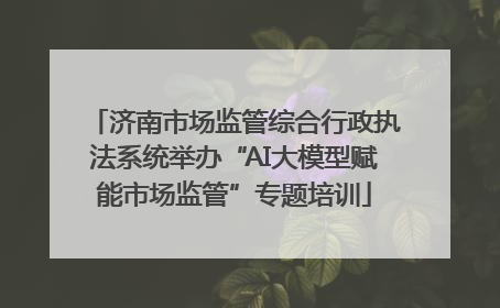 济南市场监管综合行政执法系统举办“AI大模型赋能市场监管”专题培训