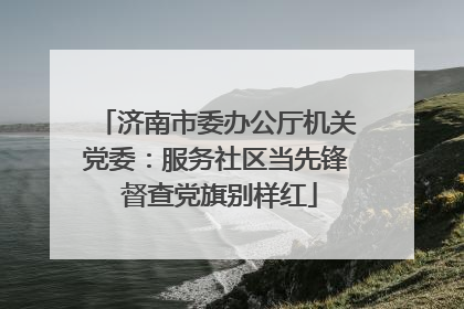 济南市委办公厅机关党委：服务社区当先锋 督查党旗别样红