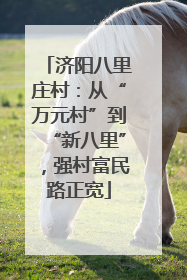 济阳八里庄村：从“万元村”到“新八里”，强村富民路正宽