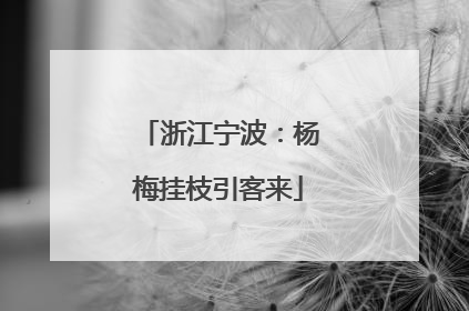 浙江宁波：杨梅挂枝引客来