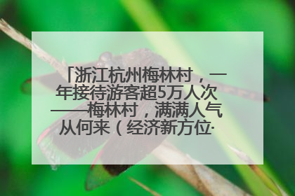 浙江杭州梅林村，一年接待游客超5万人次——梅林村，满满人气从何来（经济新方位·农村消费观察）