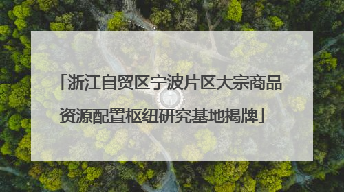 浙江自贸区宁波片区大宗商品资源配置枢纽研究基地揭牌