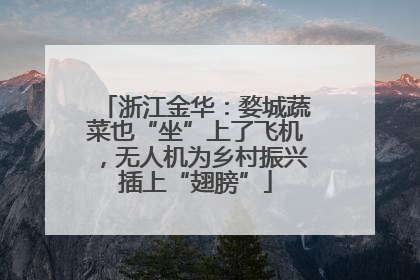 浙江金华：婺城蔬菜也“坐”上了飞机，无人机为乡村振兴插上“翅膀”