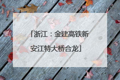 浙江：金建高铁新安江特大桥合龙