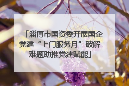 淄博市国资委开展国企党建“上门服务月”破解难题助推党建赋能