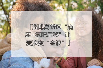 淄博高新区“滴灌+氮肥后移”让麦浪变“金浪”