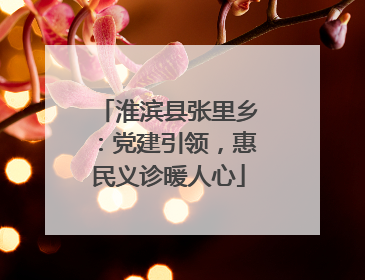 淮滨县张里乡：党建引领，惠民义诊暖人心