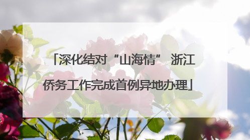 深化结对“山海情” 浙江侨务工作完成首例异地办理