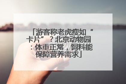 游客称老虎瘦如“卡片”？北京动物园：体重正常，饲料能保障营养需求