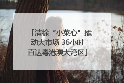 清徐“小菜心”撬动大市场 36小时直达粤港澳大湾区