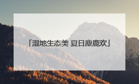 湿地生态美 夏日麋鹿欢