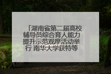 湖南省第二届高校辅导员综合育人能力提升示范观摩活动举行 南华大学获特等奖和一等奖