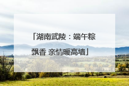 湖南武陵：端午粽飘香 亲情暖高墙