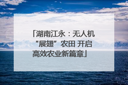 湖南江永：无人机“展翅”农田 开启高效农业新篇章