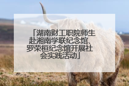 湖南财工职院师生赴湘南学联纪念馆、罗荣桓纪念馆开展社会实践活动