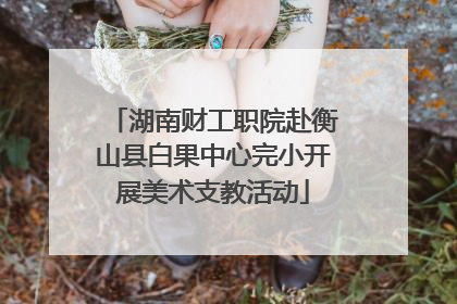 湖南财工职院赴衡山县白果中心完小开展美术支教活动