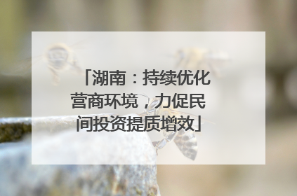 湖南：持续优化营商环境，力促民间投资提质增效