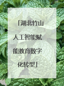 湖北竹山人工智能赋能教育数字化转型