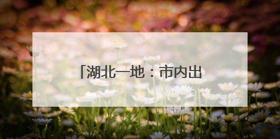 湖北一地：市内出差一律自费吃食堂