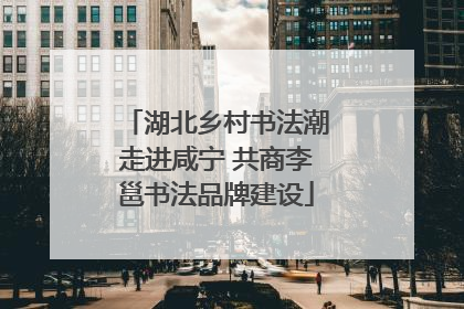 湖北乡村书法潮走进咸宁 共商李邕书法品牌建设