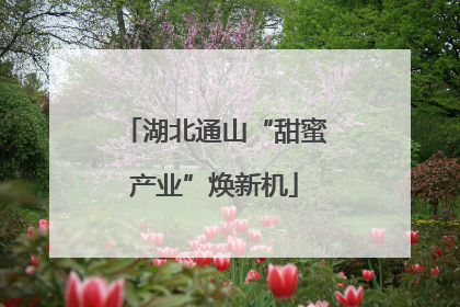 湖北通山“甜蜜产业”焕新机