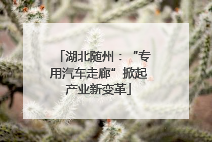 湖北随州：“专用汽车走廊”掀起产业新变革