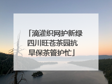 滴灌织网护新绿 四川旺苍茶园抗旱保茶管护忙