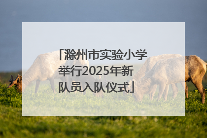 滁州市实验小学举行2025年新队员入队仪式