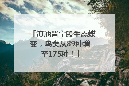 滇池晋宁段生态蝶变，鸟类从89种增至175种！