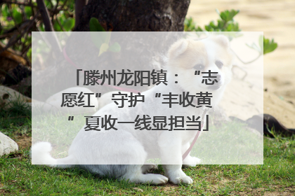 滕州龙阳镇：“志愿红”守护“丰收黄”夏收一线显担当