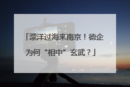 漂洋过海来南京！德企为何“相中”玄武？