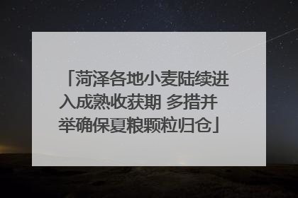 菏泽各地小麦陆续进入成熟收获期 多措并举确保夏粮颗粒归仓