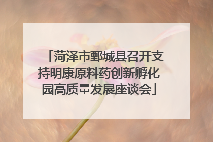 菏泽市鄄城县召开支持明康原料药创新孵化园高质量发展座谈会