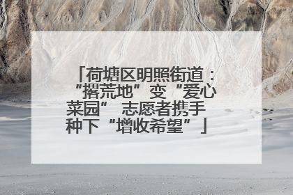 荷塘区明照街道：“撂荒地”变“爱心菜园” 志愿者携手种下“增收希望”