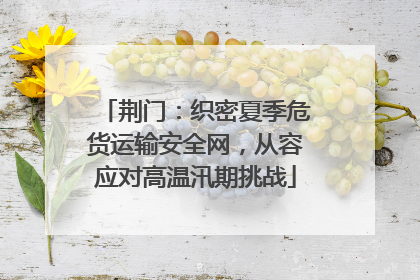 荆门：织密夏季危货运输安全网，从容应对高温汛期挑战