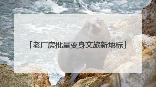 老厂房批量变身文旅新地标