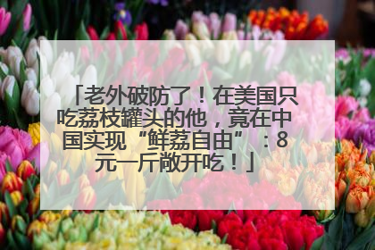 老外破防了！在美国只吃荔枝罐头的他，竟在中国实现“鲜荔自由”：8元一斤敞开吃！