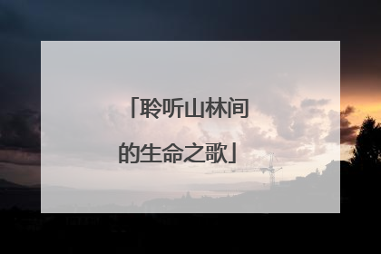 聆听山林间的生命之歌