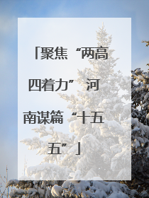 聚焦“两高四着力” 河南谋篇“十五五”