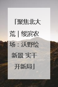 聚焦北大荒｜绥滨农场：沃野绘新景 实干开新局
