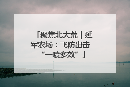 聚焦北大荒｜延军农场：飞防出击 “一喷多效”