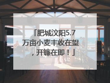 肥城汶阳5.7万亩小麦丰收在望，开镰在即！