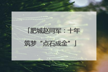 肥城赵同军：十年筑梦“点石成金”